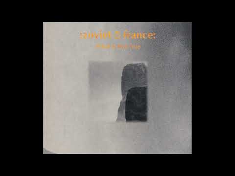 Zoviet France - What Is Not True (Full Album)