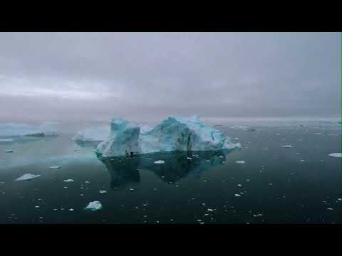 PRYVT - tell me, will we survive? (Official Visualizer) [ep. 1]