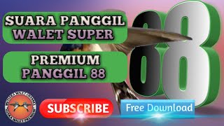 Download lagu SUARA PANGGIL WALET TERBAIK - premium panggil 88 mp3 Download lagu SUARA PANGGIL WALET TERBAIK - premium panggil 88 mp3