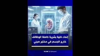 اختراق طبي قد يمحو لوائح الانتظار للمتبرعين..إنماء كلية بشرية كاملة الوظائف خارج الجسم في مختبر صيني thumbnail