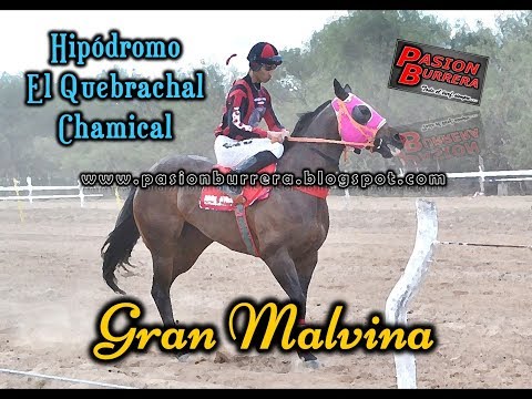 GRAN MALVINA, El Quebrachal - Chamical (15-12-19)