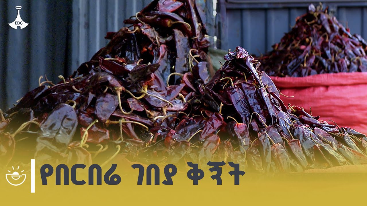 በርበሬ በአዲስ አበባ በርበሬ በረንዳ ከስንት እስከ ስንት እየተሸጠ ነው?  | Pepper | Ethiopia 
