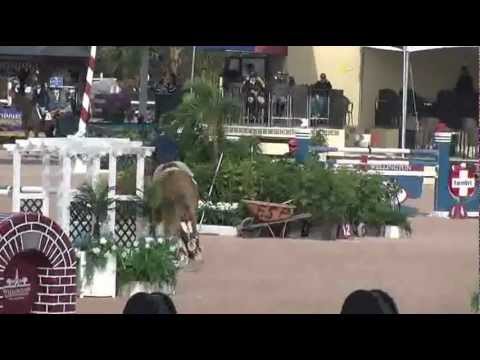 3188, CRUZ Z   1005, $6000 Spy Coast Farm Speed Challenge 1 40m