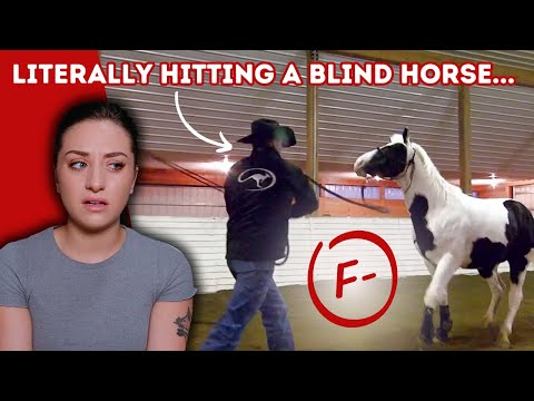 Let's Judge Horse Trainers: Clinton Anderson