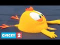 Where's Chicky? SEASON 2 | SPEED OF SOUND | Chicky Cartoon in English for Kids
