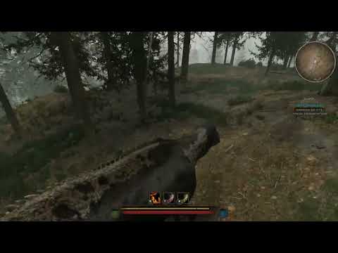 Path of Titans - this little rex thought i didn't see him, small and quiet, big and cheeky...