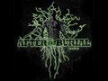 After the Burial RAREFORM Reissue CD ...