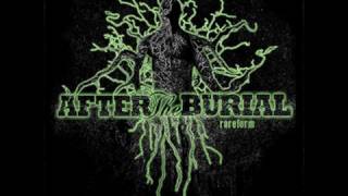 After the Burial RAREFORM Reissue CD Commericial