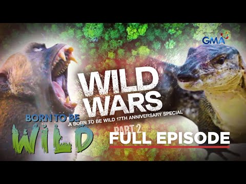 Part 2 - The Wild Wars (Full Episode) | Born to be Wild
