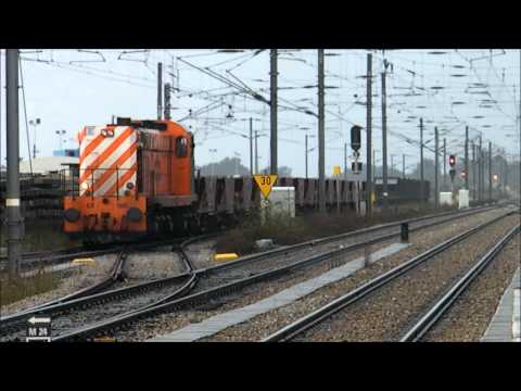 Comboio Especial n.º 97205 - Poceirão