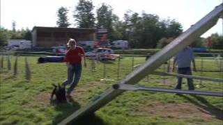 preview picture of video 'Scottie Hitchcock Agility Meeting 22.5.2010'