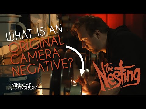 Thumbnail of the video: "Winding Through: THE NESTING" from the Vinegar Syndrome Film Archive
