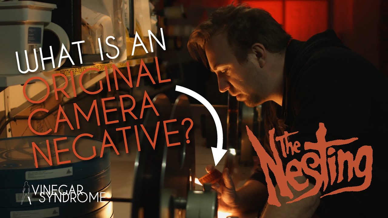 "Winding Through: THE NESTING" from the Vinegar Syndrome Film Archive