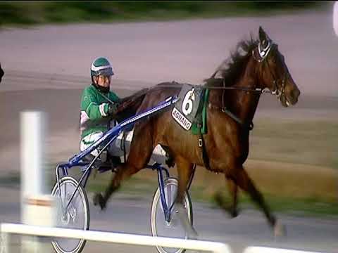 Trotto 08/02/2019 - 5ª corsa