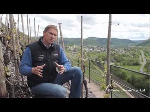 Van Volxem 100% Slate