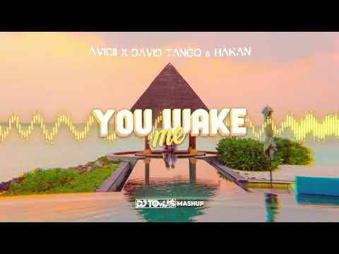 Avicii - You Make Me x David Tango & Hakan ( DJ Tomuś Mashup ) + FREE DOWNLOAD