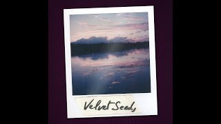 Pearl & the Crabmen - Velvet seeds
