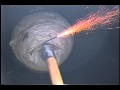 Bees Nest Removal With Bomb