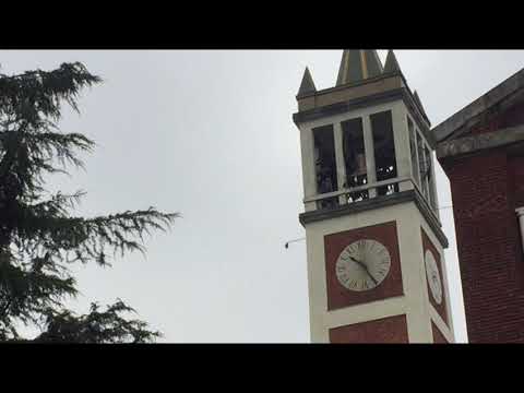 Le Campane di Garbagnate Milanese (MI) -Distesa a 8