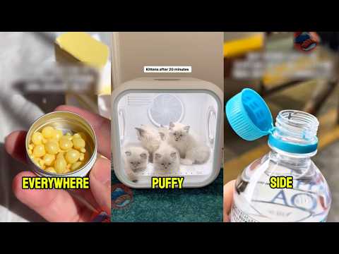 Japan's Unexpected Solutions for Modern Problems