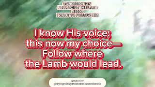 I want to follow Him NS559