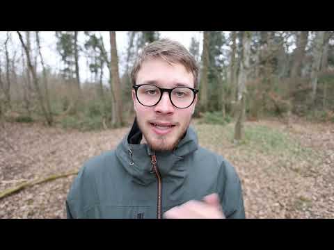 Ein Vogel, eine Minute - Feldsperling