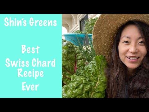Shin's Greens - How do you cook all that Swiss chard?! My favorite recipe