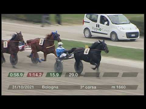 2021 10 31 | Corsa 3 | Metri 1660 | Premio Pindaro Ped