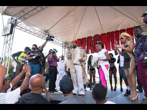 Super Cat Sting 2013 Landing in Jamaica after 12 years unedited with MC Nuffy, Joe Bogdanovich etc