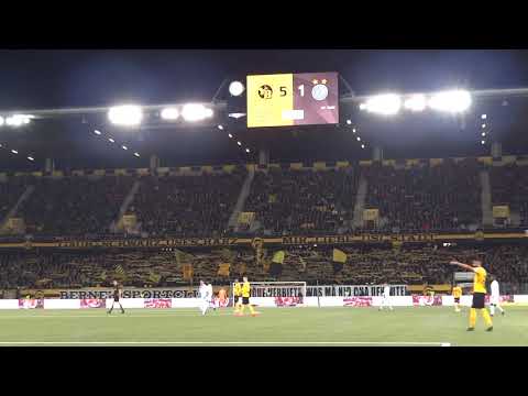 BSC Young Boys - Grasshopper Club Zürich - 16.05.2019 - 002