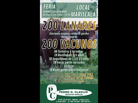 5/12/2025 Feria Mensual - Local Mariscala - Lavalleja - Pedro G. Clavijo