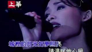 许美静 - 城里的月光 LIVE version