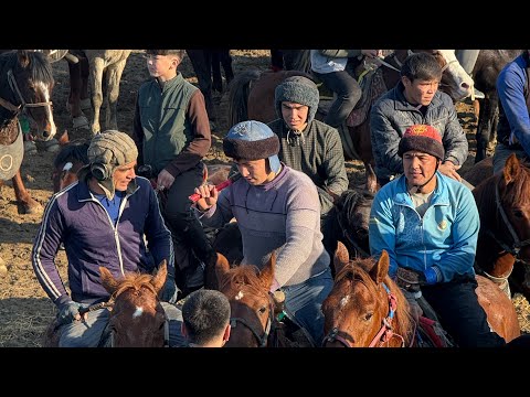 Samarqand Urgut Gʻoyibota Valixon hoji bobo koʻpkarisi 2026.01.09