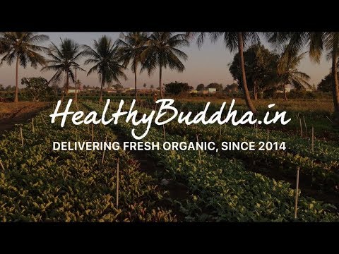 Healthy Buddha - Online organi video thumbnail