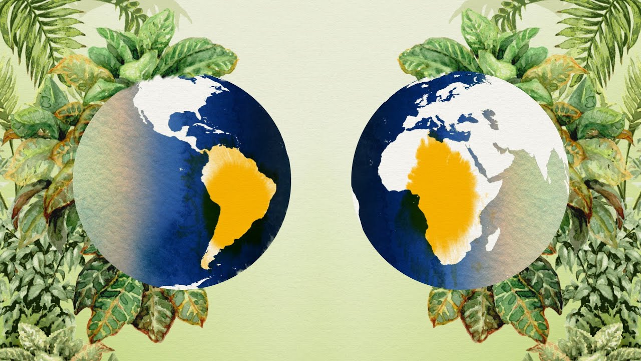 Video explaining global biogeographical regions and ecological biomes