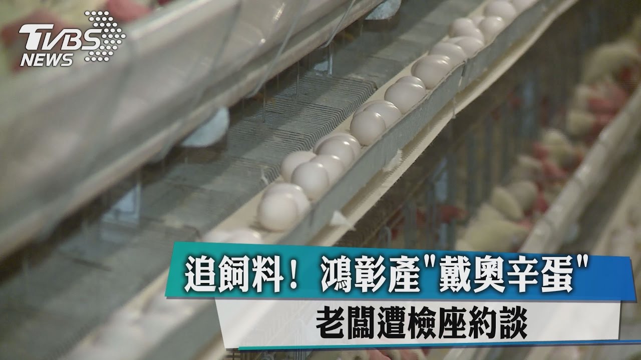 追飼料！鴻彰產「戴奧辛蛋」　老闆遭檢座約談