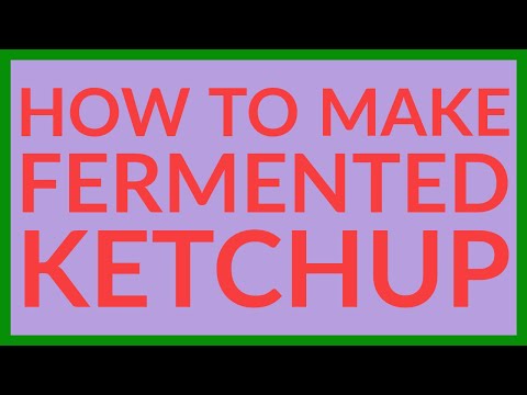 How to Make Homemade Fermented Ketchup — tastes SO GOOD!