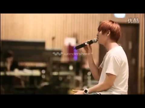 B1a4 sandeul solo 2014 cut