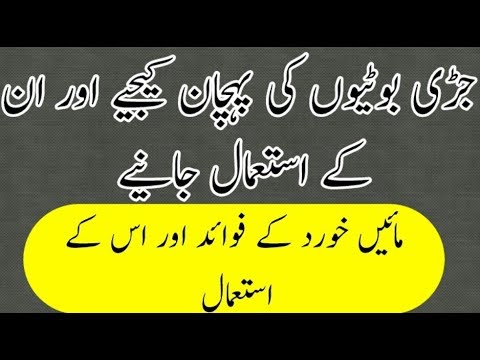 jari botion ki pehchan | maae khurd k fawaid ur us k istemal