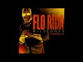 Flo Rida Feat. Sia - Wild Ones