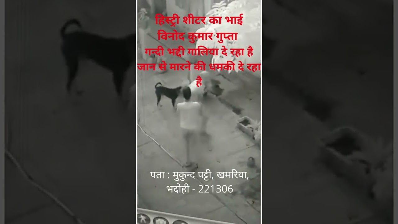 हिस्ट्री शीटर का भाई विनोद गुप्ता भद्दी गालिया - जान से मारने की धमकी दे रहा है