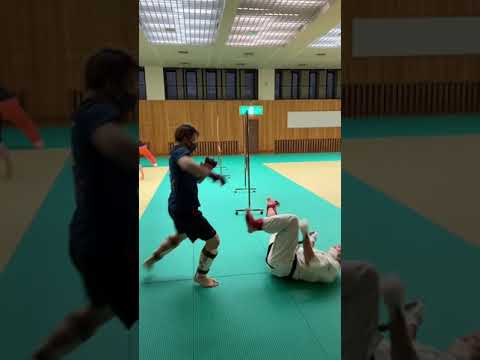 Lee先生主催 第一回関西スパーリング交流会 異種格闘技戦