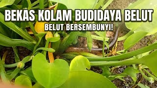 https://www.youtube.com/watch?v=2USnVudNd34
