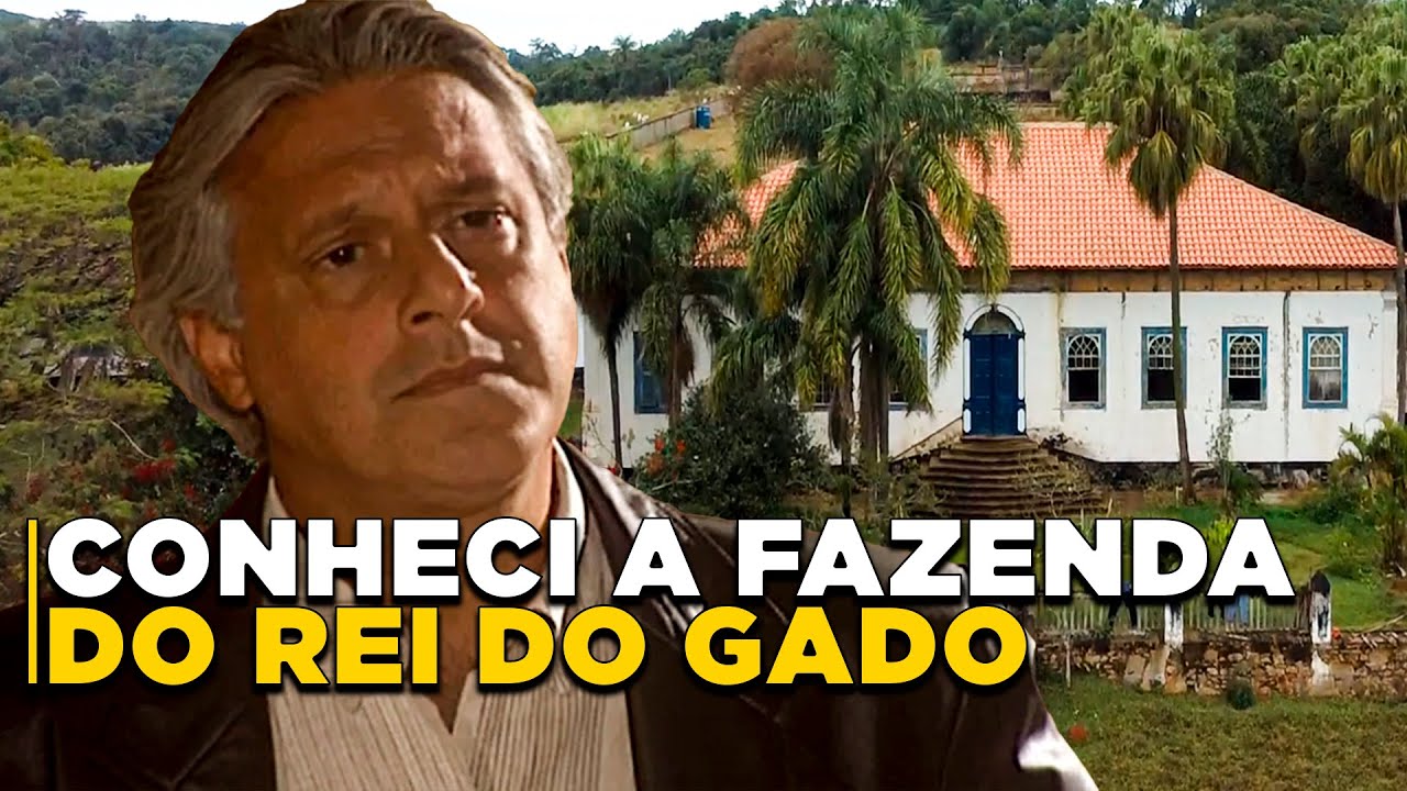 O Rei do Gado e o Engenho das Palmeiras: Uma história para contar