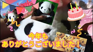 【今年最後の挨拶】ありがとうございました！！【夢物語】ハッシュタグのやつ　これよろ！
