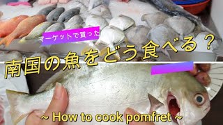 マーケットで買った南国の魚をどう食べる？　~How to cook pomfret~