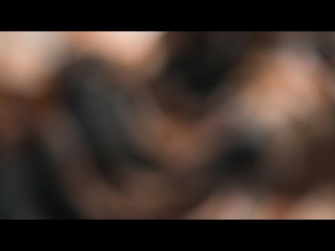 Micro Bikini Try-On Haul Transparent I Transparent Lingerie & See-through StylesWith Me