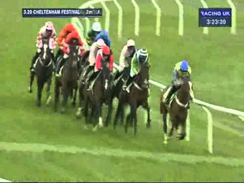 Cheltenham 2012 Stan James Champion Hurdle Challenge Trophy - Rock On Ruby