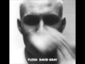 flesh - david gray