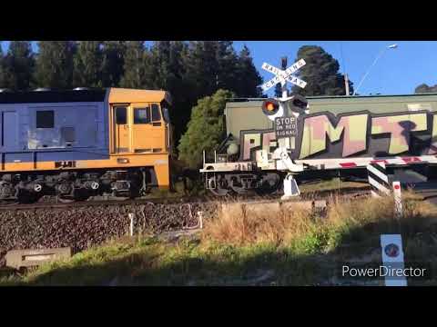 81 class trains at Robeson